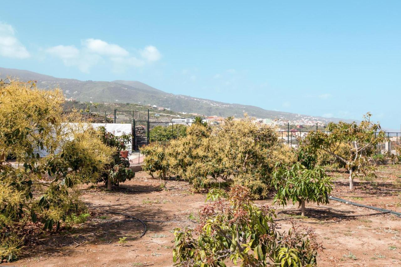 伊科德·德·洛斯·维诺斯Casa Quemahierro 1别墅 外观 照片